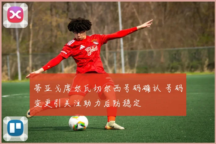 蒂亚戈席尔瓦切尔西号码确认 号码变更引关注助力后防稳定