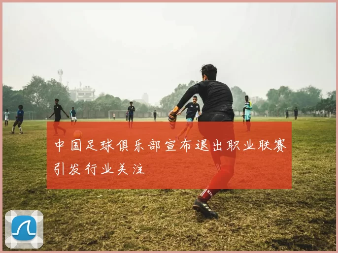 中国足球俱乐部宣布退出职业联赛引发行业关注