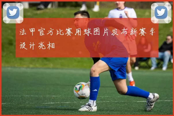 法甲官方比赛用球图片发布新赛季设计亮相