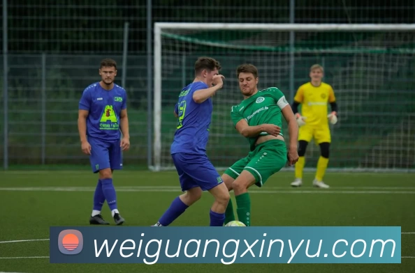 完美体育 - 完美体育(中国)平台生态图