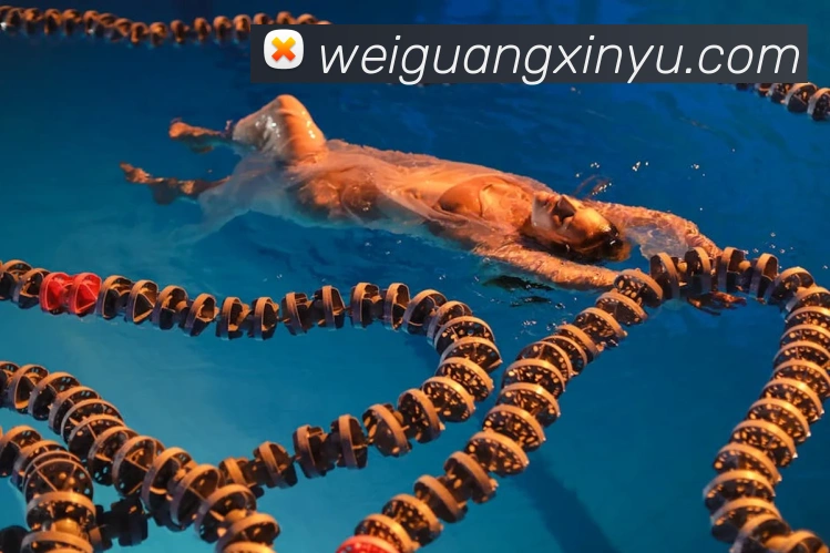 多终端兼容