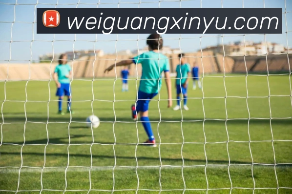 奖项证书